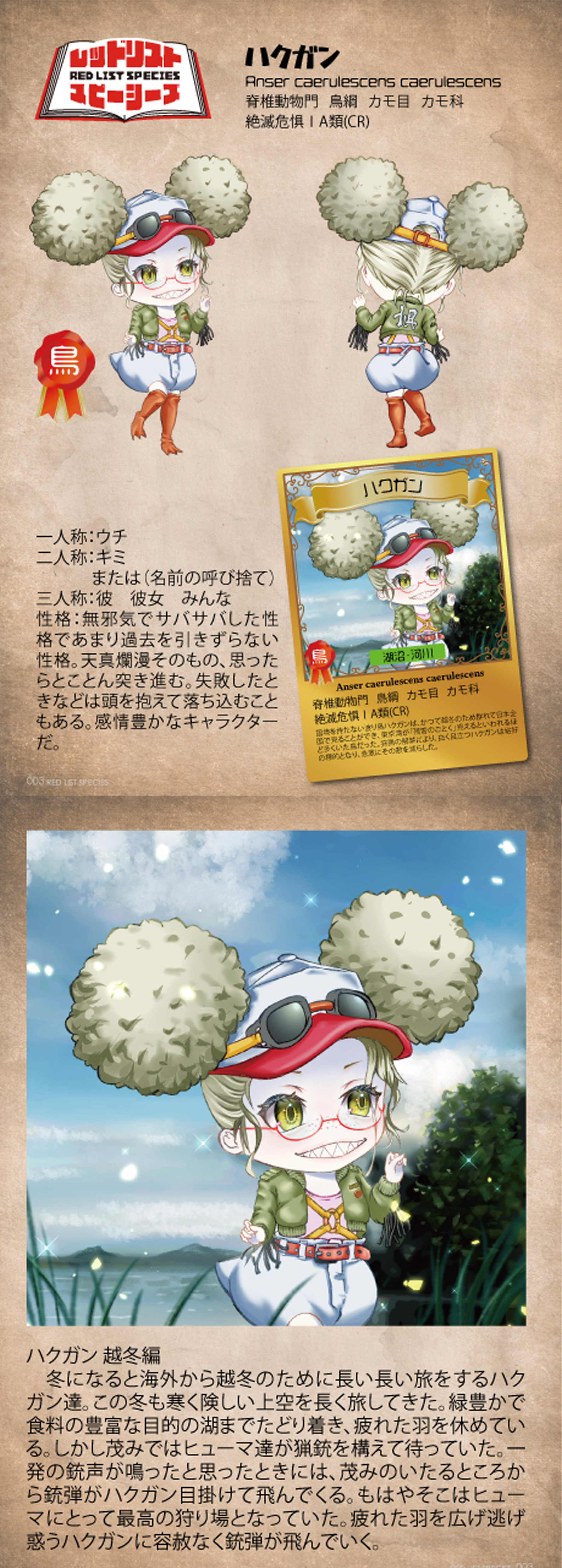 ハクガン生態