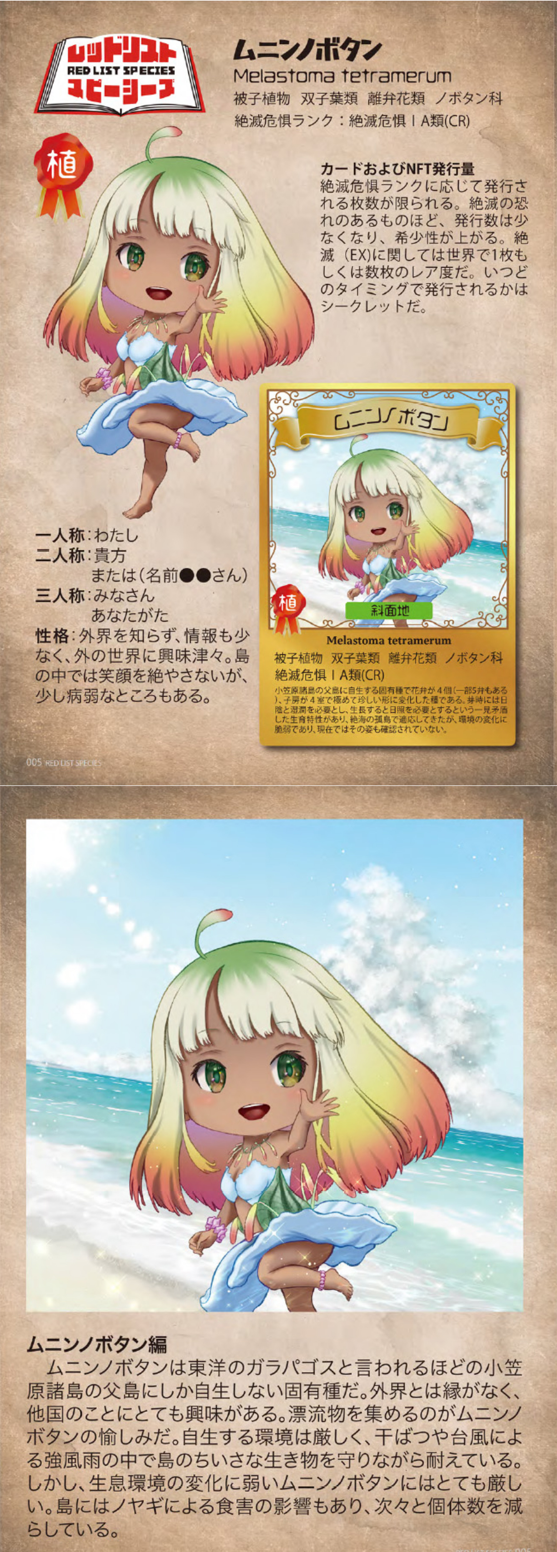 ムニンノボタン生態
